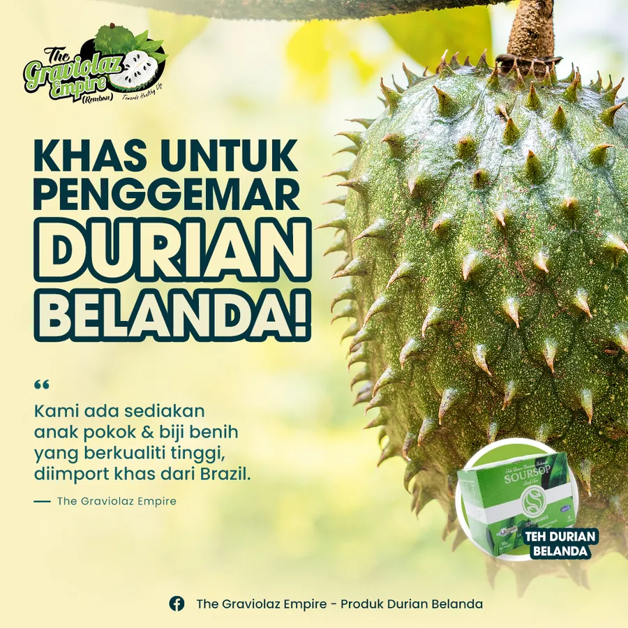 Poster iklan Durian Belanda - Kesihatan