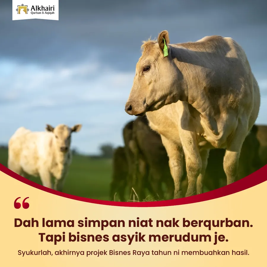 Poster iklan Al Khairi Qurban - Service Centre