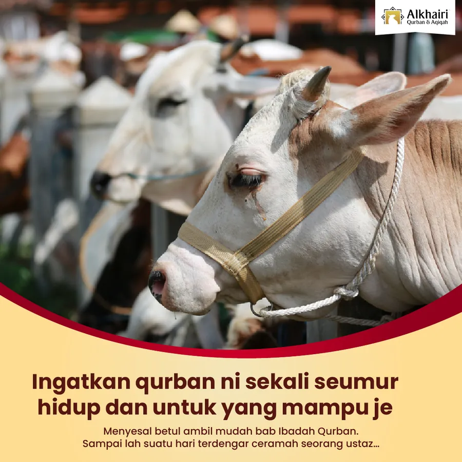 Poster iklan Al Khairi Qurban - Service Centre