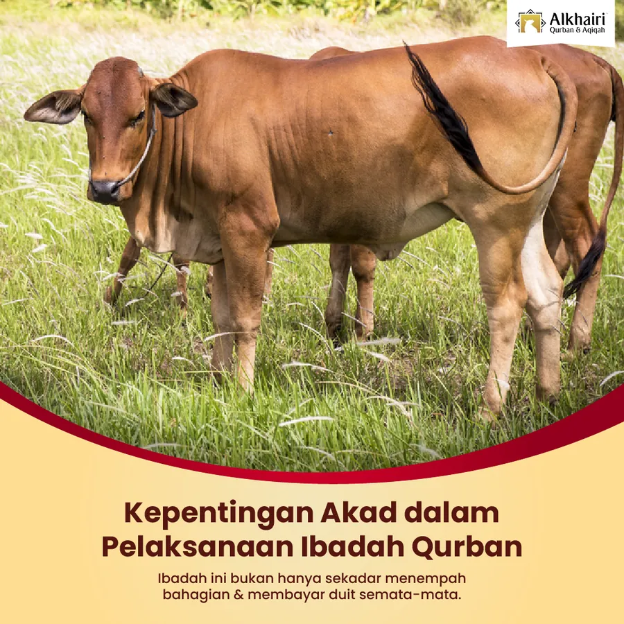 Poster iklan Al Khairi Qurban - Service Centre