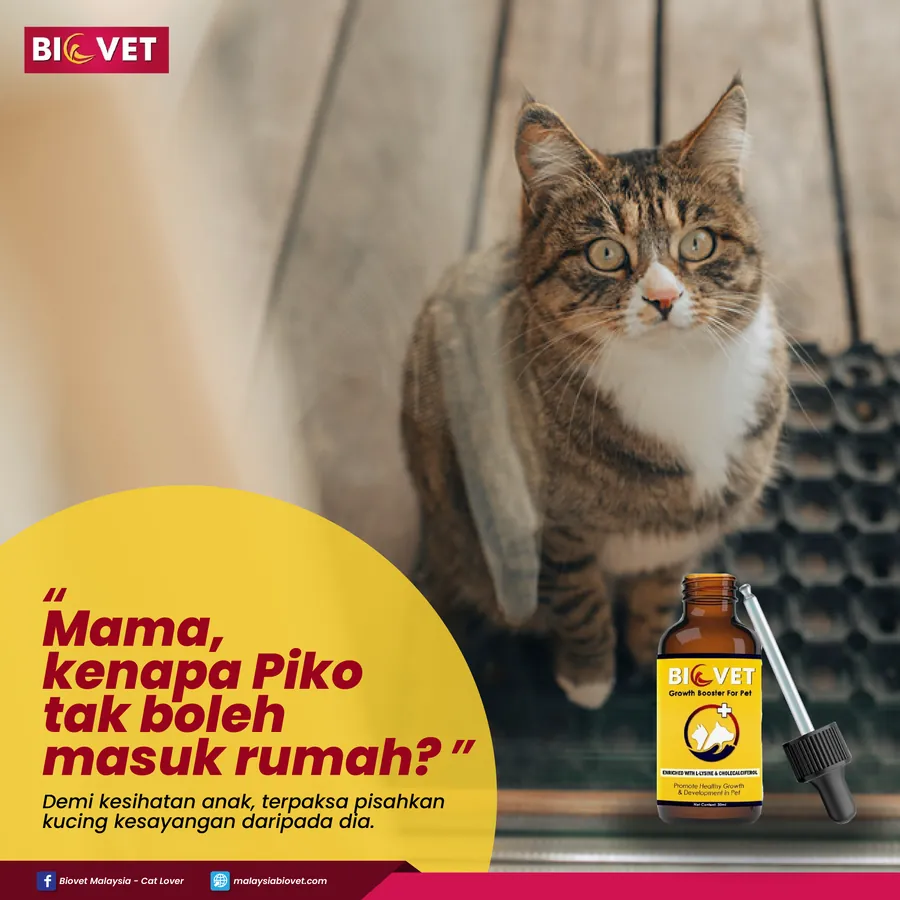 Poster iklan Biovet - Pet