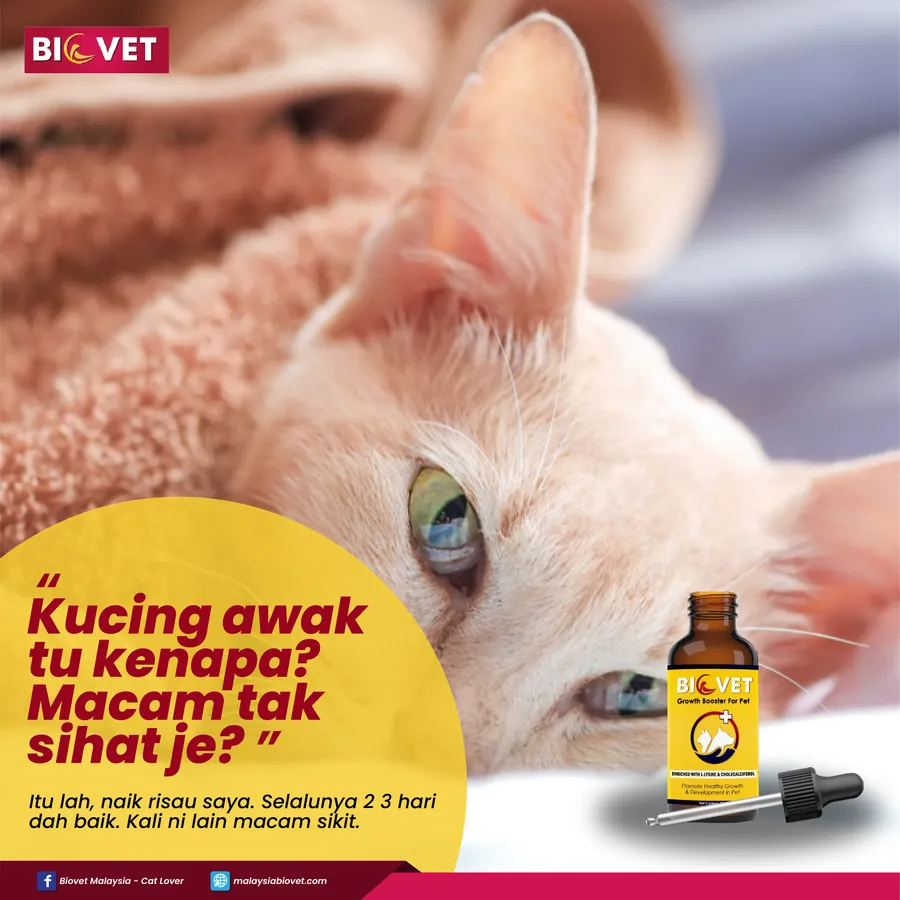 Poster iklan Biovet - Pet