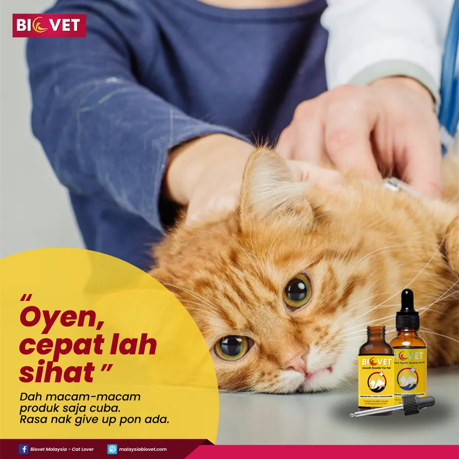 Poster iklan Biovet - Pet